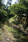 DSC02219