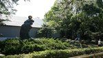 DSC08354