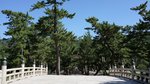 DSC08360