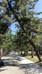 IMG_20170806_090948