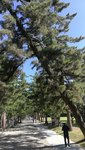 IMG_20170806_090955