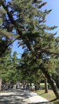 IMG_20170806_091016