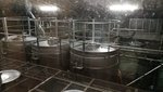 IMG_20170806_093929