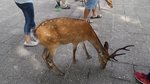 20170810_154619