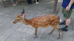20170810_154700
