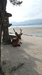 20170810_164451
