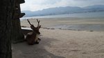 20170810_164457