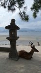 20170810_164608