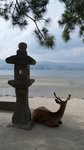 20170810_164616