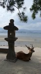 20170810_164620