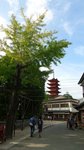 20170810_174307