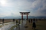 DSC02343