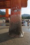 DSC02349