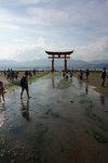 DSC02354