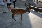 DSC02364