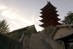 DSC02386