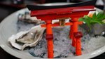 DSC08495