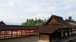 DSC08516