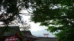 DSC08518