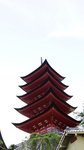 DSC08519