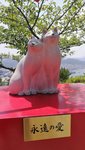 IMG_20170810_120334