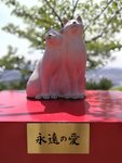 IMG_20170810_120404