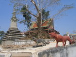 0230 柬埔寨之旅 2007