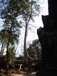 0481 柬埔寨之旅 2007