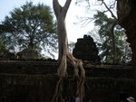 0490 柬埔寨之旅 2007
