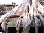 0516 柬埔寨之旅 2007