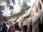 0517 柬埔寨之旅 2007