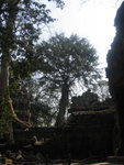0541 柬埔寨之旅 2007