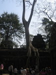0543 柬埔寨之旅 2007