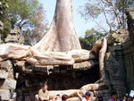 0544 柬埔寨之旅 2007