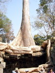 0545 柬埔寨之旅 2007