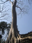 0549 柬埔寨之旅 2007
