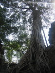 0551 柬埔寨之旅 2007