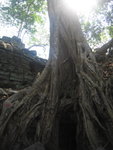 0552 柬埔寨之旅 2007