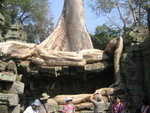 0557 柬埔寨之旅 2007