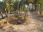 0910 柬埔寨之旅 2007