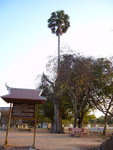 0937 柬埔寨之旅 2007