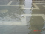 聖馬可廣場水浸了七