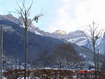 DSC01298