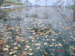 DSC01324