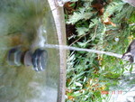 DSC01325