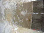 DSC01347