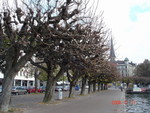 DSC01356