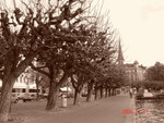 DSC01357