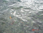 DSC01361