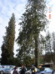DSC01395